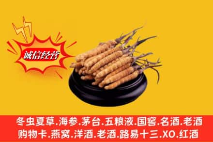 临颍县求购回收虫草多少钱每克